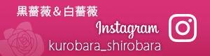 Instagram kurobara_sirobara