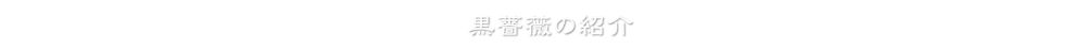 黒薔薇の紹介