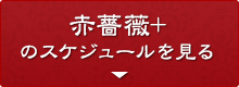 赤薔薇のスケジュールを見る